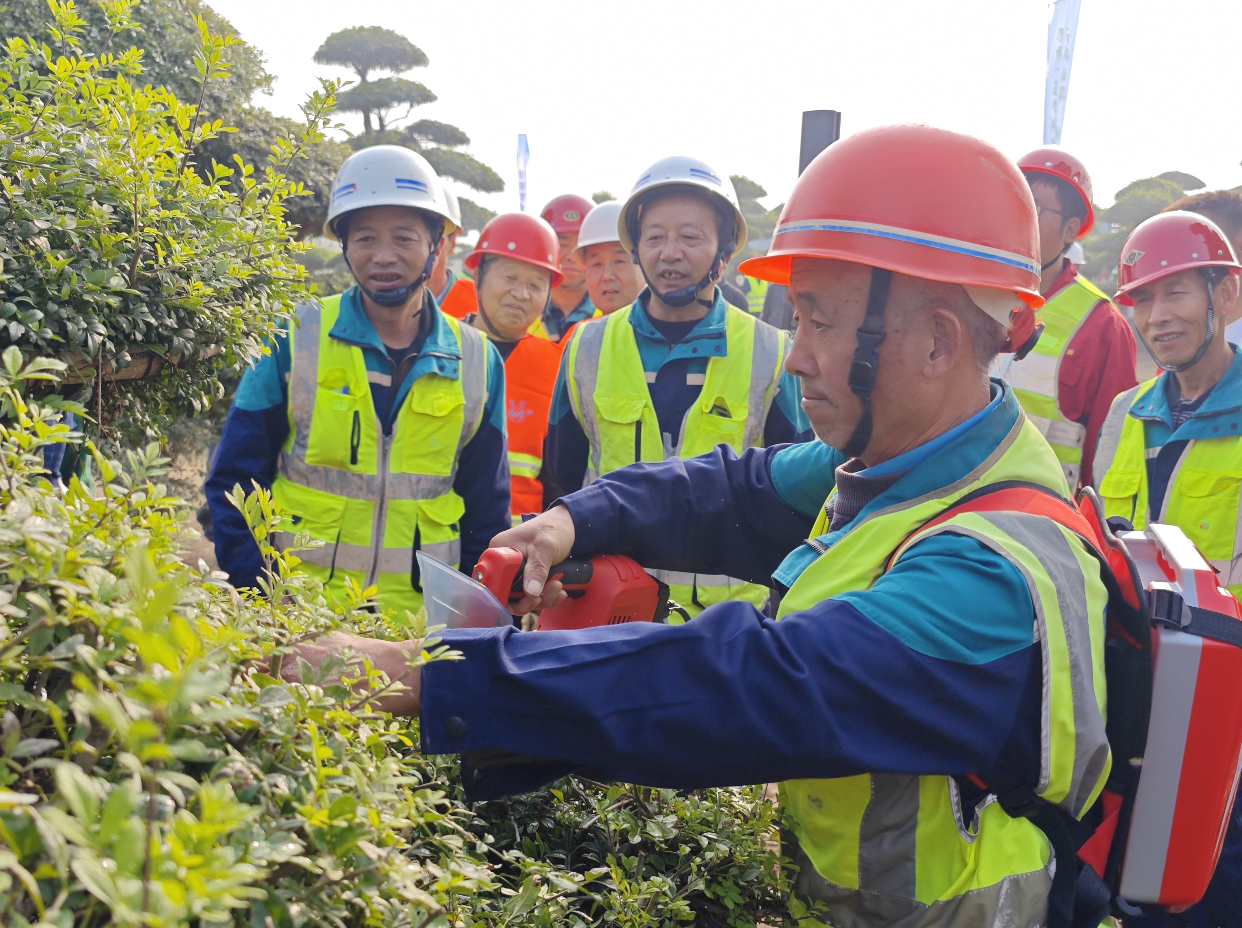 园林“老把式”的“新技能”——宝鸡市第二届园林绿化工修剪（植物造型）技能竞赛在蟠...